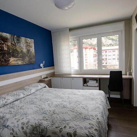 Pension Ibai Ega Estella Exteriör bild